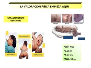 LA VALORACION FISICA EMPIEZA AQUI
CARÁCTERÍSTICAS
GENERALES
PESO. 3.kg
PC. 35cm
PT. 34 cm
TALLA. 50cm
 