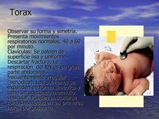 Torax Observar su forma y simetría. Presenta movimientos respiratorios normales, 40 a 60 por minuto. Clavículas: Se palpan de superficie lisa y uniforme. Descartar fractura, La respiraciòn  del RN es en gran parte abdominal, frecuentemente irregular (periódica). Los pulmones se expanden en forma simétrica y tiene un adecuado murmullo vesicular. Pueden auscultarse ruidos húmedos en las primeras horas por posparto  