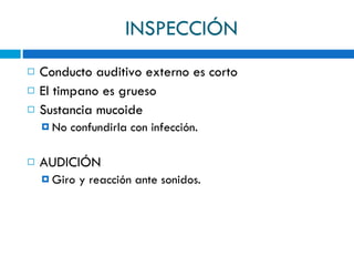 INSPECCIÓN <ul><li>Conducto auditivo externo es corto </li></ul><ul><li>El timpano es grueso </li></ul><ul><li>Sustancia m...