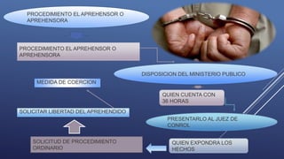 PROCEDIMIENTO EL APREHENSOR O
APREHENSORA
PROCEDIMIENTO EL APREHENSOR O
APREHENSORA
DISPOSICION DEL MINISTERIO PUBLICO
QUIEN CUENTA CON
36 HORAS
PRESENTARLO AL JUEZ DE
CONROL
QUIEN EXPONDRA LOS
HECHOS
SOLICITUD DE PROCEDIMIENTO
ORDINARIO
SOLICITAR LIBERTAD DEL APREHENDIDO
MEDIDA DE COERCION
 