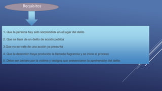1. Que la persona hay sido sorprendida en el lugar del delito
2. Que se trate de un delito de acción publica
3.Que no se trate de una acción ya prescrita
4. Que la detención haya producido la llamada flagrancia y se inicie el proceso
5. Debe ser declaro por la victima y testigos que presenciaron la aprehensión del delito
Requisitos
 