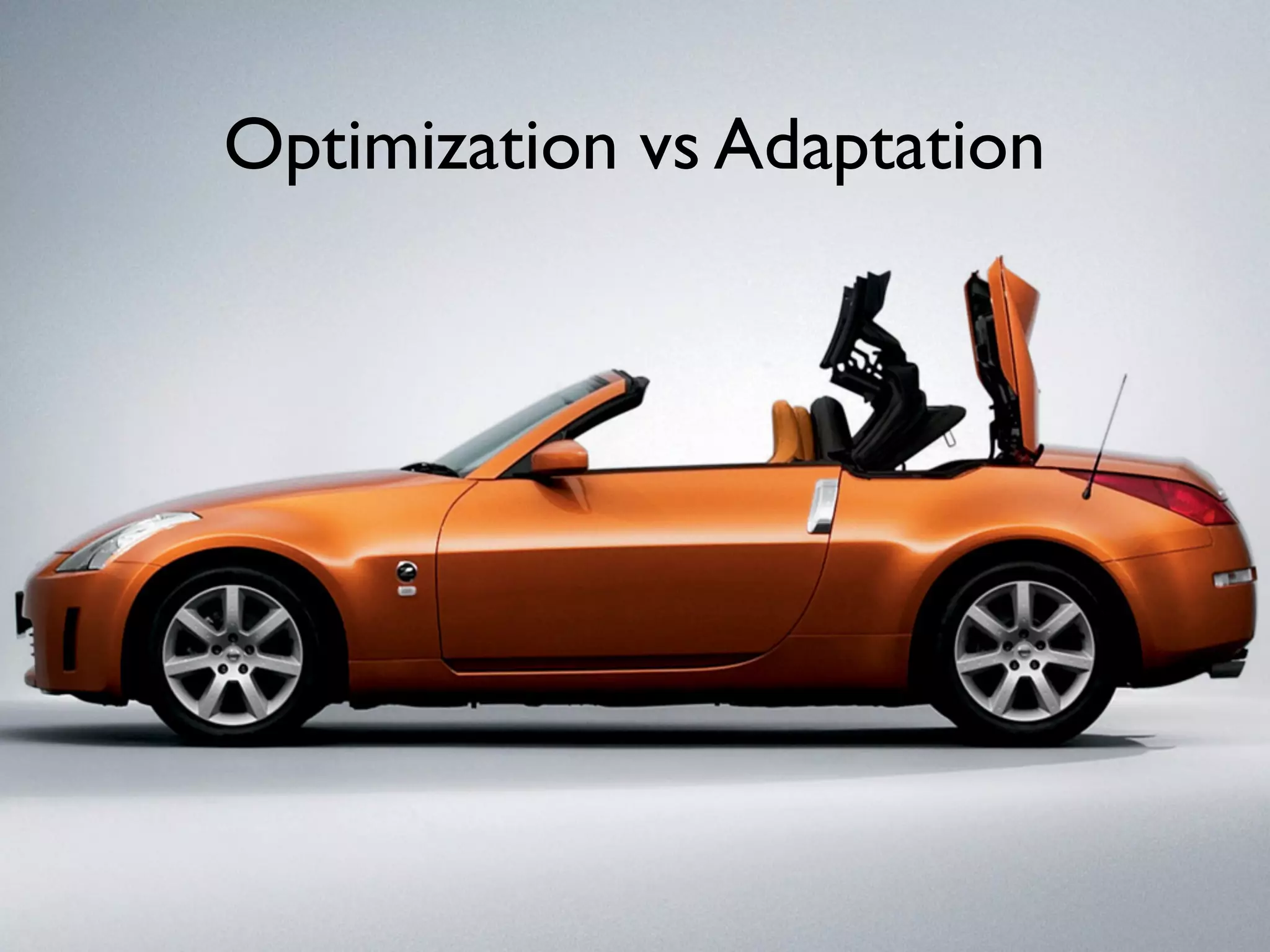 Optimization vs Adaptation
 