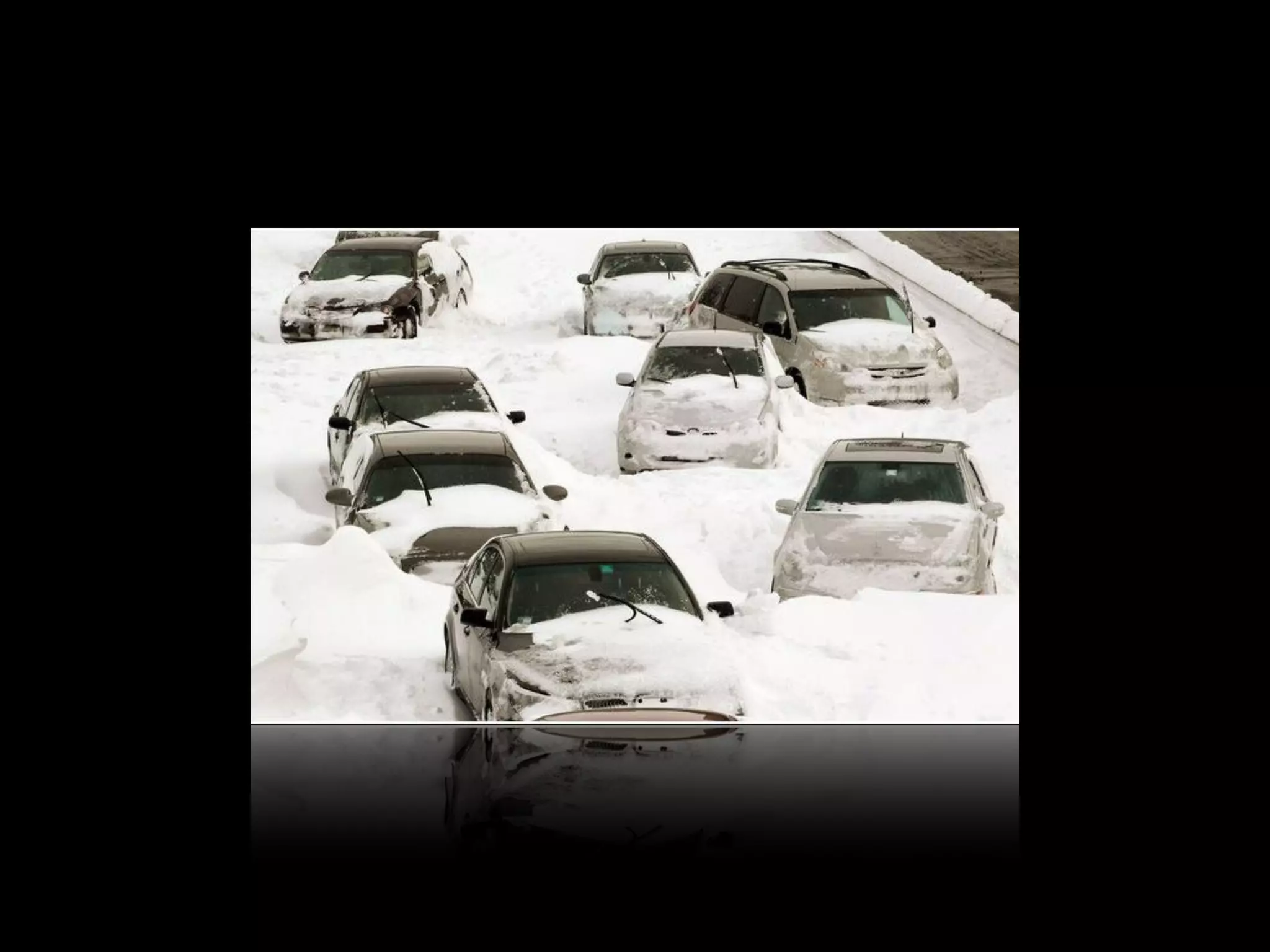 Optimization vs Adaptation
 