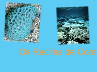 Os Recifes de Coral 
