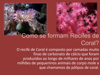 Como se formam Recifes de Coral?      O recife de Coral é composto por camadas muito finas de carbonato de cálcio que foram produzidos ao longo de milhares de anos por milhões de pequeninos animais de corpo mole a que chamamos de pólipos de coral. 