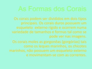 As Formas dos CoraisOs corais podem ser divididos em dois tipos principais. Os corais duros possuem um esqueleto  externo rígido e ocorrem numa variedade de tamanhos e formas tal como se pode ver nas imagens.        Os corais moles as gorgonêas (gorgórias) tais como os leques marinhos, os chicotes marinhos, não possuem um esqueleto externo e movimentam-se com as correntes.