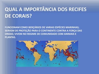 QUAL A IMPORTÂNCIA DOS RECIFES
DE CORAIS?
FUNCIONAM COMO BERÇÁRIOS DE VARIAS ESPÉCIES MARINHAS;
SERVEM DE PROTEÇÃO PARA O CONTINENTE CONTRA A FORÇA DAS
ONDAS; VIVEM NO REGIME DE COMUNIDADE COM ANIMAIS E
PLANTAS.
 
