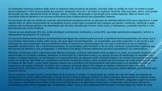 Os ambientes marinhos costeiros estão entre os sistemas mais produtivos do planeta, incluídos neles os recifes de coral. Os recifes ocupam
aproximadamente 0,02% da área global dos oceanos, abrigando cerca de ¼ de todas as espécies marinhas. Eles suportam, assim, uma grande
diversidade de vida, oferecendo locais de refúgio, desova, criação, alimentação e reprodução para muitas espécies, além de serem uma
importante fonte de alimento e de recursos econômicos para a sobrevivência das populações costeiras.
Os processos de vida nos recifes de coral são extremamente complexos devido ao alto grau de interdependência entre seus organismos, e esta
relação entre os vários componentes do ecossistema torna-o muito frágil e suscetível aos impactos que afetam o ambiente, sobretudo a ação
sinérgica das mudanças globais e da depredação dos recursos naturais pelo homem, entre outros, a sobrepesca, a poluição marinha e o uso
desordenado das zonas costeiras.
Calcula-se que atualmente 20% dos recifes já estejam severamente danificados e outros 20%, que estão seriamente ameaçados, venham a
desaparecer nos próximos 20 a 40 anos.
Um aumento relativamente pequeno da temperatura das águas dos oceanos pode provocar a ocorrência do branqueamento nos corais, que é
um processo relacionado à perda, pelos corais, das suas algas fotossintetizantes – as zooxantelas, que estão presentes no seu tecido e que
participam de uma cooperação vital que beneficia ambos os organismos. Esse processo faz com que o coral perca a sua cor exibindo o
esqueleto calcário branco, dai o nome branqueamento. As zooxantelas, além de darem a cor ao coral, produzem componentes orgânicos que
lhes servem de alimento e, em contrapartida, o coral lhes provê abrigo e fornece elementos químicos necessários à sua sobrevivência.
Distúrbios ambientais podem interromper esta delicada simbiose, causando dissociação entre as algas e os corais, provocando mudanças na
estrutura das comunidades coralinas, sobretudo na diminuição do crescimento linear e na redução da taxa de calcificação do esqueleto dos
corais e, consequentemente, na manutenção e no desenvolvimento da estrutura recifal. No Brasil registros de eventos de branqueamento datam
a partir do verão de 1993/1994 com ocorrências nos recifes localizados desde a costa nordeste até comunidades de corais presentes na costa
do estado de São Paulo, e todos estes registros indicam que a ocorrência de branqueamento está relacionada a um aumento anormal da
temperatura das águas oceânicas. Os efeitos das mudanças climáticas globais têm afetado as regiões costeiras em todo o mundo e,
particularmente na América Latina e o Brasil não é exceção, há, ainda, proporcionalmente, pouca pesquisa sendo realizada para entender seus
impactos futuros.
Há um consenso mundial quanto à necessidade de se promover o manejo e a conservação dos recifes de coral. No Brasil, as unidades de
conservação dos recifes estão distribuídas ao longo de todo o litoral e abrange, também, as ilhas oceânicas, apresentando um sistema amplo,
com diferentes categorias de manejo nos três níveis de governo, federal, estadual e municipal, e estas diferentes categorias surgem de acordo
com estudos e demandas comunitárias conforme as características e as alternativas locais para a conservação dos recursos naturais do
ecossistema. Essas áreas protegidas são consideradas, assim, como a mais poderosa ferramenta para a conservação dos recifes de coral.
 