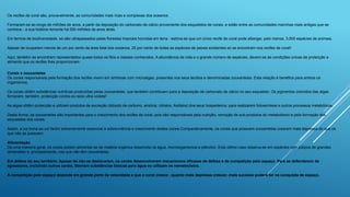Os recifes de coral são, provavelmente, as comunidades mais ricas e complexas dos oceanos.
Formaram-se ao longo de milhões de anos, a partir da deposição do carbonato de cálcio proveniente dos esqueletos de corais, e estão entre as comunidades marinhas mais antigas que se
conhece - a sua história remonta há 500 milhões de anos atrás.
Em termos de biodiversidade, só são ultrapassados pelas florestas tropicais húmidas em terra - estima-se que um único recife de coral pode albergar, pelo menos, 3.000 espécies de animais.
Apesar de ocuparem menos de um por cento da área total dos oceanos, 25 por cento de todas as espécies de peixes existentes só se encontram nos recifes de coral!
Aqui, também se encontram representados quase todos os filos e classes conhecidos. A abundância de vida e o grande número de espécies, devem-se às condições únicas de protecção e
alimento que os recifes lhes proporcionam.
Corais e zooxantelas
Os corais responsáveis pela formação dos recifes vivem em simbiose com microalgas, presentes nos seus tecidos e denominadas zooxantelas. Esta relação é benéfica para ambos os
organismos.
Os corais obtêm substâncias nutritivas produzidas pelas zooxantelas, que também contribuem para a deposição de carbonato de cálcio no seu esqueleto. Os pigmentos coloridos das algas
fornecem, também, protecção contra os raios ultra-violeta!
As algas obtêm protecção e utilizam produtos de excreção (dióxido de carbono, amónia, nitratos, fosfatos) dos seus hospedeiros, para realizarem fotossíntese e outros processos metabólicos.
Desta forma, as zooxantelas são importantes para o crescimento dos recifes de coral, pois são responsáveis pela nutrição, remoção de sub-produtos do metabolismo e pela formação dos
esqueletos dos corais.
Assim, a luz torna-se um factor extremamente essencial à sobrevivência e crescimento destes corais.Comparativamente, os corais que possuem zooxantelas crescem mais depressa do que os
que não as possuem.
Alimentação
De uma maneira geral, os corais podem alimentar-se de matéria orgânica dissolvida na água, microorganismos e plâncton. Este último caso observa-se em espécies com pólipos de grandes
dimensões e, principalmente, nas que não têm zooxantelas.
Em defesa do seu território. Apesar de não se deslocarem, os corais desenvolveram mecanismos eficazes de defesa e de competição pelo espaço. Para se defenderem de
agressores, incluindo outros corais, libertam substâncias tóxicas para água ou utilizam os nematocistos.
A competição pelo espaço depende em grande parte da velocidade a que o coral cresce - quanto mais depressa crescer, mais sucesso poderá ter na conquista de espaço.
 