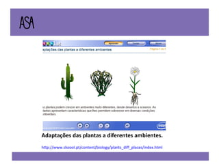 http://www.skoool.pt/content/biology/plants_diff_places/index.html Adaptações das plantas a diferentes ambientes. 