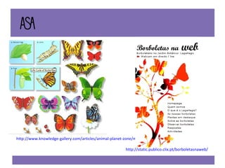 http://www.knowledge-gallery.com/articles/animal-planet-zone/monarch-butterfly-life-cycle.html http://static.publico.clix.pt/borboletasnaweb / 