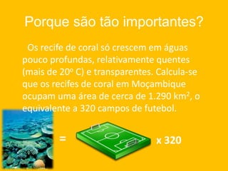 Porque são tão importantes?      Os recife de coral só crescem em águas pouco profundas, relativamente quentes (mais de 20o C) e transparentes. Calcula-se que os recifes de coral em Moçambique ocupam uma área de cerca de 1.290 km2, o equivalente a 320 campos de futebol.= x 320