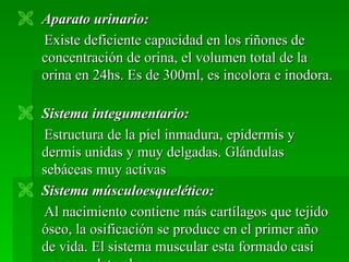  Aparato urinario:
  Existe deficiente capacidad en los riñones de
  concentración de orina, el volumen total de la
  orina en 24hs. Es de 300ml, es incolora e inodora.

 Sistema integumentario:
  Estructura de la piel inmadura, epidermis y
  dermis unidas y muy delgadas. Glándulas
  sebáceas muy activas
 Sistema músculoesquelético:
  Al nacimiento contiene más cartílagos que tejido
  óseo, la osificación se produce en el primer año
  de vida. El sistema muscular esta formado casi
 