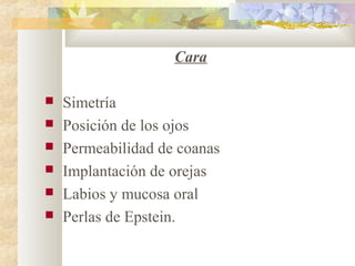 Cara
 Simetría
 Posición de los ojos
 Permeabilidad de coanas
 Implantación de orejas
 Labios y mucosa oral
 Perlas de Epstein.
 
