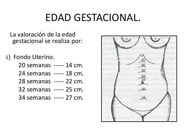 Recién nacido sano y examen físico de recién nacido