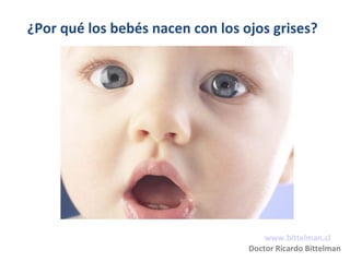 ¿Por qué los bebés nacen con los ojos grises? 
www.bittelman.cl 
Doctor Ricardo Bittelman 
 