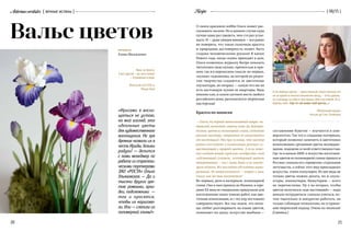 Aeternaeveritates { вечные истины }
21
{ 06/15 }Recipe
Ирис на берегу.
А вот другой — до чего похож!
— Отраженье в воде.
Японский поэт XVII в.
Мацуо Басё
БЕСЕДОВАЛА
Елена Москаленко
О своем красивом хобби Ольга может рас-
сказывать часами. Но в данном случае куда
лучше один раз увидеть, чем сто раз услы-
шать. И — даже увидев вживую — все равно
не поверить, что такая сказочная красота
и природная достоверность может быть
создана человеческими руками! В канун
Нового года, когда сказка приходит в дом,
Ольга позволила журналу Recipe показать
читателям свою кухню, причем как в пря-
мом, так и в переносном смысле: во-первых,
«кухню» художника, на которой по рецеп-
там творчества создаются ее цветочные
скульптуры, во-вторых — самую что ни на
есть настоящую кухню ее квартиры. Ведь
именно там, в самом уютном месте любого
российского дома, располагается творческая
мастерская!
Красота по-японски
— Ольга, на первый невысказанный вопрос чи-
тателей, позвольте, отвечу сама: да, действи-
тельно, цветы из полимерной глины, созданные
руками мастера, совершенно не отличаются
от настоящих! Это при условии, что мастер
решил воссоздать в композиции реально су-
ществующий в природе цветок. А если поже-
лал создать новый сорт или «изобрести» свой
собственный (скажем, легендарный цветок
папоротника) — мы с вами даже и не заподо-
зрим подвоха. Все выглядит абсолютно нату-
ральным. Из вышесказанного — вопрос к вам,
Ольга: как же так получается?
Во-первых, дело в материале, полимерной
глине. Она к нам пришла из Японии, в сере-
дине XX века ее специально придумали для
изготовления таких тонких работ, как цве-
точные композиции, и с тех пор постоянно
совершенствуют. Все мы знаем, что япон-
цы любят разговаривать на языке цветов,
понимают их душу; искусство икебаны —
Вальс цветов
Если любишь цветок — единственный, какого больше нет
ни на одной из многих миллионов звезд, — этого доволь-
но: смотришь на небо и чувствуешь себя счастливым. И го-
воришь себе: «Где-то там живет мой цветок...»
«Маленький принц»
Антуан де Сент-Экзюпери
«Ирисами я восхи-
щаться не устаю,
на мой взгляд, это
идеальные цветы
для художественного
воплощения. Не зря
древние назвали их в
честь Ириды, богини
радуги! — делится
с нами менеджер по
работе со стратеги-
ческими партнерами
ЗАО «РОСТА» Ольга
Ульяновская. — Да и
тысячи других цве-
тов: ромашки, орхи-
деи, подснежники  —
так и просятся,
чтобы их нарисова-
ли. Или — слепили из
полимерной глины!»
20
составления букетов — изучается в уни-
верситетах. Так что к созданию материала,
который позволил заменить в цветочных
композициях срезанные цветы неувядаю-
щими, подошли со всей ответственностью.
Где-то в начале 2000-х искусство изготовле-
ния цветов из полимерной глины пришло в
Россию: сначала его «привезли» отдельные
энтузиасты, а сейчас этот вид прикладного
искусства очень популярен. Из нее ведь не
только цветы можно делать, но и скуль-
птуры, миниатюры, бижутерию — всего
не перечислишь. Ну а во-вторых, чтобы
цветок получился «как настоящий» — надо
немало потрудиться: сначала учиться, по-
том тщательно и аккуратно работать, не
только соблюдая технологию, но и приме-
няя творческий подход. Очень по-японски!
(Смеется.)
 