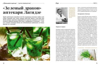 35
{ 06/15 }RecipeMedicamentariiconfecerunt { cделано фармацевтами }
«Зеленый дракон»
аптекаря Лагидзе
Трудно представить новогодний стол без газированных напитков: сладких и без
сахара, лимонада, колы, ситро, тархуна, крем-соды, дюшеса и так далее. Для
детей, которые, вырастая, превращаются во взрослых, газировка на всю жизнь
остается символом праздника. Для этого и придумывали ее изначально — а зна-
ния и талант аптекарей делали это «безалкогольное шампанское» не только
вкусным, но и полезным!
Первые из первых
Целебные свойства природной минераль-
ной воды не были секретом с древности:
пить ее рекомендовал еще Гиппократ в  тру-
де «О воздухах, водах и местностях». В эпоху
Возрождения воду из «оздоровительных»
источников начали продавать в бутыл-
ках, но, во-первых, она была дорога, а во-
вторых, природная минерализация быстро
«улетучивалась» — и продукт становился
невкусным, даже если в него добавляли
различные ароматические экстракты. Пред-
приниматели задались вопросом: а можно
ли найти способ искусственно насыщать
воду освежающими пузырьками? Ответ на
него нашел в XVIII веке шведский химик
Торберн Бергман, изобретя сатуратор — при-
бор, обогащавший воду углекислым газом.
Женевский ювелир Якоб Швепп «довел его
до ума», сконструировав промышленную
установку, покорившую мир фруктовыми
газировками с бодрящим эффектом «вол-
шебных пузырьков», которые он называл
безалкогольным шампанским! Насмотрев-
шись на Старый Свет, российские импе-
раторы повелели «на ассамблеях лимонад
34
Эстрагон (тархун) — типичная пряность грузинской кухни
пить», и несколько десятилетий шипучка,
или «содовая», оставалась напитком знати,
народу ее пробовать было и негде, да и не
на что: удовольствие было не из дешевых.
Эксперимент в Кутаиси
Только к концу XIX века самые лучшие ко-
фейни, продуктовые магазины, а вслед за
ними и городские аптеки обзавелись соб-
ственными небольшими сатураторами —
и стали готовить для привлечения посети-
телей газированные напитки из импортных
сиропов, преимущественно французских.
В одной из таких аптек города Кутаиси слу-
жил юный ученик фармацевта Митрофан
Лагидзе. Газировка ему пришлась по вкусу,
и он решил, что пора придумать собствен-
ный напиток на основе натуральных ком-
понентов, да такой, чтобы он был не только
вкусным, но и полезным. Бабушка Митро-
фана очень любила эстрагон  — типичную
пряность грузинской кухни — и клала ее
буквально во все блюда. В народе эстрагон
именуют тархуном, а его латинское назва-
ние Artemísia dracuncúlus переводится как
«полынь маленького дракона». Хоть эстра-
гон и относится к роду полыни, но стоит
особняком: практически лишен горечи, зато
обладает приятным вкусом и ароматом.
ТЕКСТ: Мария Рыжикова
Митрофан Лагид-
зе (1869–1960). На-
чинал как аптекарь,
но всемирную сла-
ву приобрел благо-
даря созданию ори-
гинальных рецеп-
тов газированных
прохладительных
напитков
 