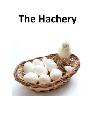 The Hachery
 