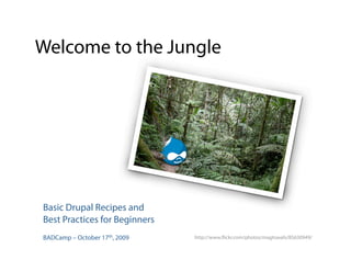 Welcome to the Jungle




Basic Drupal Recipes and
Best Practices for Beginners
BADCamp – October 17th, 2009   http://www. ickr.com/photos/magtravels/85630949/
 