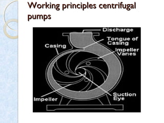 Working principles centrifugalWorking principles centrifugal
pumpspumps
 