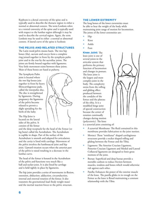 6
Kyphosis is a dorsal convexity of the spine and is
typically used to describe the thoracic region in either a
normal or abnormal context. The term Lordosis refers
to a ventral convexity of the spine and is typically used
with respect to the lumbar region although it may be
used to describe the cervical region. Again, the term
Lordosis may be used in either a normal or abnormal
context. A lateral curve of the spine is Scoliosis
The pelvis and related structures
The Latin word pelvis means basin. The two hip
bones (ilia), sacrum and coccyx form a complete
ring joined together in front by the symphysis pubis
joint and in the rear by the sacroiliac joints. The
joints are firmly bound together with ligaments.
Very little movement exists between these joints.
Most of these bones are fused at puberty.
The Symphysis Pubis
joint is located where
the two hip bones join
together in front by heavy
fibrocartilagenous pads,
called the interpubic disc.
The disc is strengthened
by ligaments. During
pregnancy the ligaments
of the pelvis become
relaxed to permit a
slight spreading for the
birth of the baby.
The Hip Joint is
located on the lateral
sides of the pelvis. It
consists of the femur
and the deep receptacle for the head of the Femur (or
leg bone) called the Acetabulum. The Acetabulum
is cuplike in shape. Part of the surface of the
Acetabulum is smooth and adapted for articulation
and the cavity is lined with cartilage. Movement of
the pelvis involves the lumbosacral joint and hip
joint. Upward rotation occurs when the anterior part
of the pelvis is raised resulting in a decrease in the
lumbar curve.				
The head of the femur is housed in the Acetabulum
of the pelvis and functions very much like a
ball and socket joint. It is also lined by cartilage
and is held tightly in place by ligaments.
The hip joint provides a series of movements in flexion,
extension, abduction, adduction, circumduction,
internal and external rotation of the femur. It also
transmits the gravitational load (body weight mass)
and the inertial reaction forces to the pelvic structure.
The Lower Extremity
The long bones of the lower extremities must
be able to bear the weight of the body while
maintaining joint range of motion for locomotion.
The joints of the lower extremities are:
•	 Hip
•	 Knee
•	 Ankle
•	 Foot
Knee Joint: The
knee joint is one of
several joints in the
articular system that
performs the primary
function of locomotion
and changes in posture.
The knee joint is
the largest and most
complex joint in the
body. The complexity
stems from the rolling
and gliding effect
produced between
the condyles of the
femur and the plateau
of the tibia. It is a
modified hinge joint
of special construction
because the center of
rotation continually
changes during motion
(polycentric). The knee
is a synovial joint consisting of:
•	 A synovial Membrane: The fluid contained in this
membrane provides lubrication to the joint motion.
•	 Menisci: These “semilunar” shaped cartilaginous
structures provide a socket shaped rolling and
gliding between the Femur and the Tibia.
•	 Ligament: The Anterior Cruciate Ligament,
Posterior Cruciate Ligament and Medial and Lateral
Collateral ligaments are designed to limit gross
motions of the joint.
•	 Bursae: Superficial and deep bursae provide a
movable cushion to reduce friction between
muscles, tendons and bones which would otherwise
rub against each other.
•	 Patella: Enhances the power of the exterior muscle
of the knee. The patella glides in its trough on the
Femur as the knee is flexed maintaining a constant
relationship with the Tibia.
 