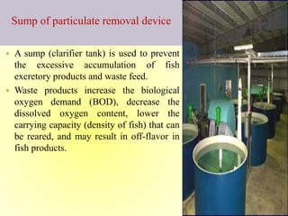 Sump of particulate removal device
 A sump (clarifier tank) is used to prevent
the excessive accumulation of fish
excretory products and waste feed.
 Waste products increase the biological
oxygen demand (BOD), decrease the
dissolved oxygen content, lower the
carrying capacity (density of fish) that can
be reared, and may result in off-flavor in
fish products.
 