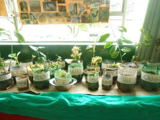 7° Recital de Poesia