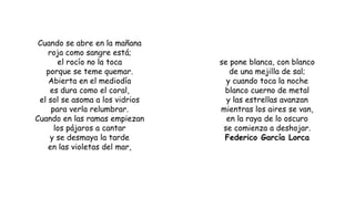 Cuando se abre en la mañana
roja como sangre está;
el rocío no la toca
porque se teme quemar.
Abierta en el mediodía
es dura como el coral,
el sol se asoma a los vidrios
para verla relumbrar.
Cuando en las ramas empiezan
los pájaros a cantar
y se desmaya la tarde
en las violetas del mar,
se pone blanca, con blanco
de una mejilla de sal;
y cuando toca la noche
blanco cuerno de metal
y las estrellas avanzan
mientras los aires se van,
en la raya de lo oscuro
se comienza a deshojar.
Federico García Lorca
 