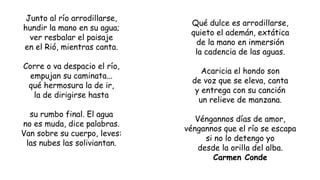 Junto al río arrodillarse,
hundir la mano en su agua;
ver resbalar el paisaje
en el Rió, mientras canta.
Corre o va despacio el río,
empujan su caminata...
qué hermosura la de ir,
la de dirigirse hasta
su rumbo final. El agua
no es muda, dice palabras.
Van sobre su cuerpo, leves:
las nubes las soliviantan.
Qué dulce es arrodillarse,
quieto el ademán, extática
de la mano en inmersión
la cadencia de las aguas.
Acaricia el hondo son
de voz que se eleva, canta
y entrega con su canción
un relieve de manzana.
Véngannos días de amor,
véngannos que el río se escapa
si no lo detengo yo
desde la orilla del alba.
Carmen Conde
 