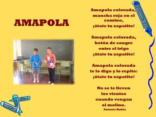 AMAPOLA
Amapola colorada,
mancha roja en el
camino,
¡átate tu zapatito!
Amapola colorada,
botón de sangre
entre el trigo
¡átate tu zapatito!
 
Amapola colorada
te lo digo y lo repito:
¡átate tu zapatito!
 
No se te lleven
los vientos
cuando vengan
al molino.
Antonio Rubio
 