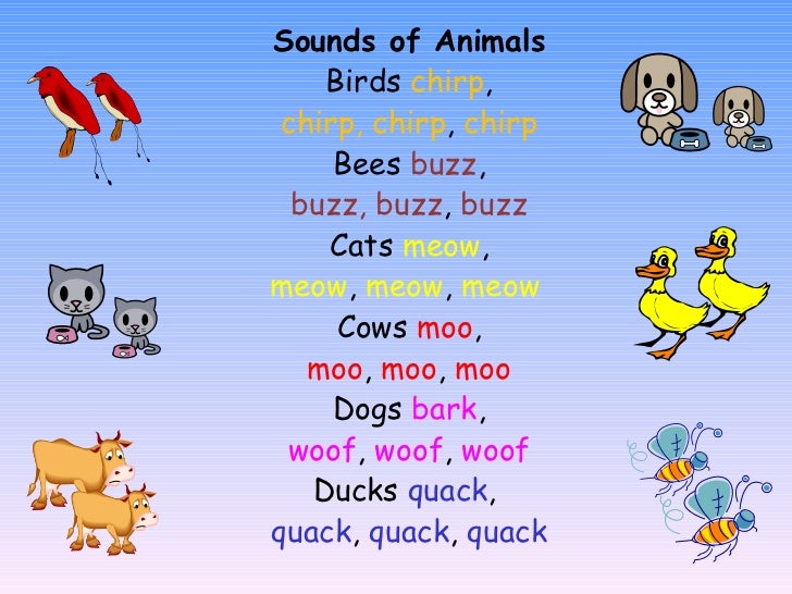 Sounds Of Animals And Birds - Lessons - Blendspace