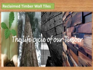 Reclaimed Timber Wall Tiles
 