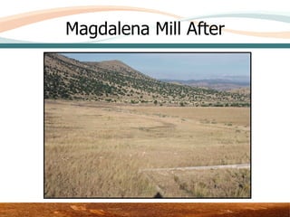 Magdalena Mill After




            Area 3 – Upper Test Plot
 