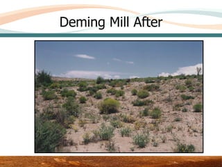 Deming Mill After




          Area 3 – Upper Test Plot
 