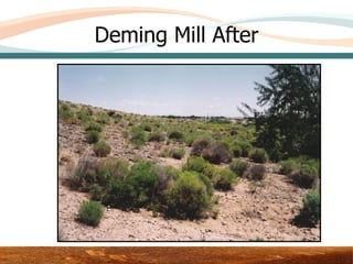 Deming Mill After




          Area 3 – Upper Test Plot
 