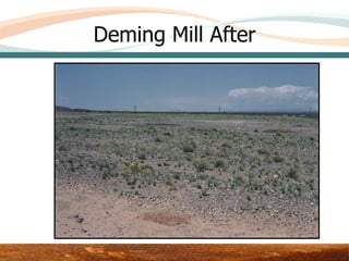Deming Mill After




          Area 3 – Upper Test Plot
 