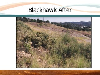 Blackhawk After




         Area 3 – Upper Test Plot
 