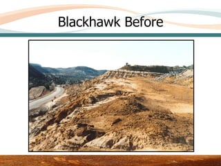 Blackhawk Before




          Area 3 – Upper Test Plot
 