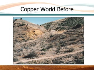 Copper World Before




           Area 3 – Upper Test Plot
 