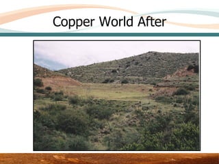 Copper World After




           Area 3 – Upper Test Plot
 