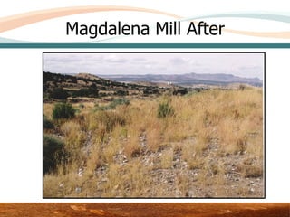 Magdalena Mill After




            Area 3 – Upper Test Plot
 