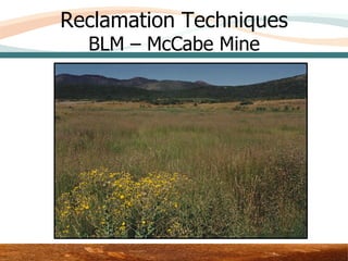 Reclamation Techniques
  BLM – McCabe Mine




             Area 3 – Upper Test Plot
 