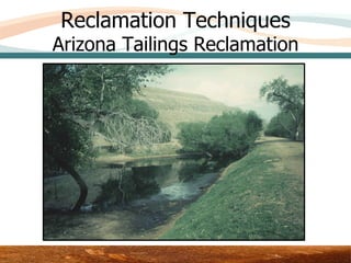 Reclamation Techniques
Arizona Tailings Reclamation




                Area 3 – Upper Test Plot
 