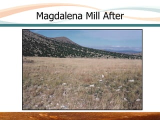 Magdalena Mill After




            Area 3 – Upper Test Plot
 