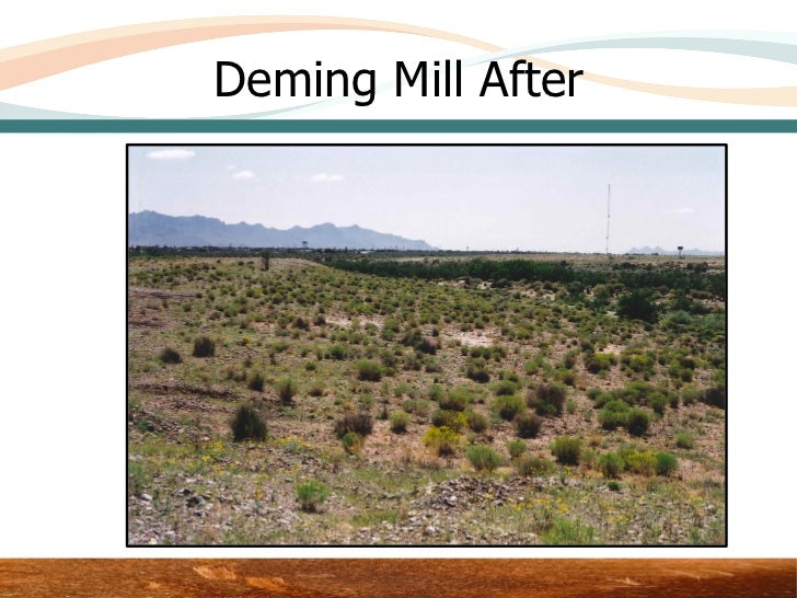 Reclamation Examples Before and After