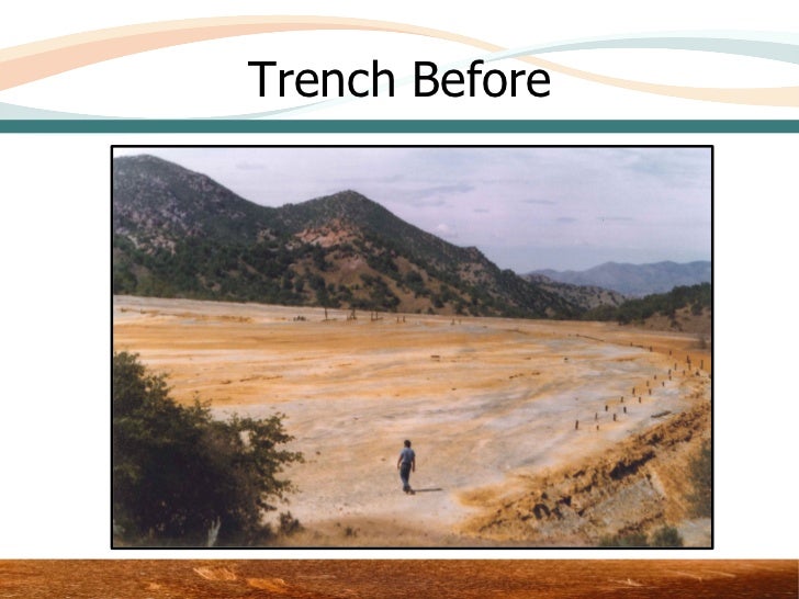 Reclamation Examples Before and After