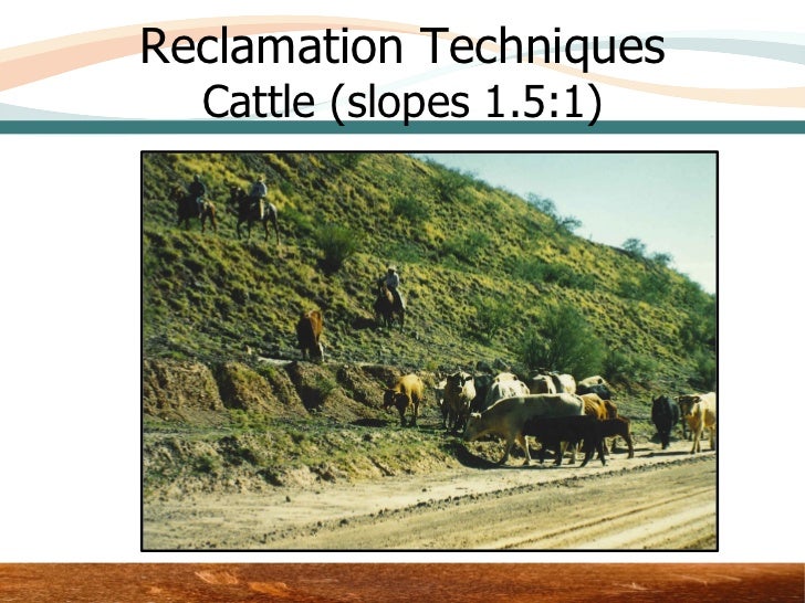 Reclamation Examples Before and After