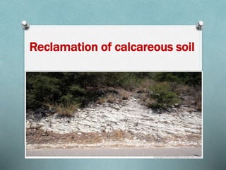 Reclamation of calcareous soil
 