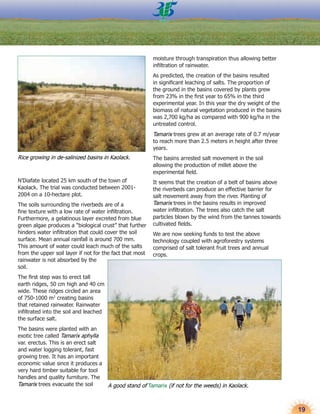 Reclamation of saline acid soils in senegal